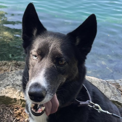 loki